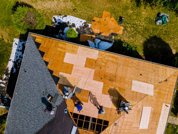 Best Flat Roof Repair Services  in Marion, KS